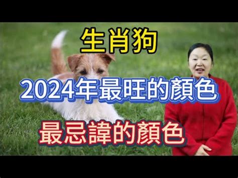 屬狗適合什麼水晶|2025年屬狗適合的水晶推薦與選擇指南